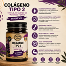 Colágeno Tipo 2 + Vitaminas e Minerais – 60 Softgels | Canteiro de Ervas