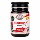 Berberina HCL + Óleo TCM 1000 mg – Canteiro de Ervas