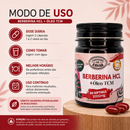 Berberina HCL + Óleo TCM 1000 mg – Canteiro de Ervas