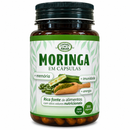 Moringa em Cápsulas – 300 cápsulas | Canteiro de Ervas