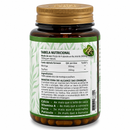 Moringa + Psyllium 700 mg – 120 Cápsulas | Canteiro de Ervas