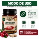Cranberry 700 mg – 60 Cápsulas | Canteiro de Ervas
