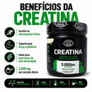 Creatina 3.000mg 300g Sem sabor - Canteiro de ervas