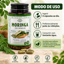 Moringa em Cápsulas 700 mg – 120 Cápsulas | Canteiro de Ervas
