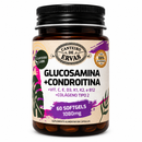 Glucosamina + Condroitina + Vitamina C + E + D3 + K1 + B12 + Colágeno Tipo 2 – Canteiro de Ervas