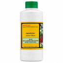 Garrafada de Amora Miura 500ml - Produto 100% Natural