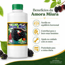 Garrafada de Amora Miura 500ml - Produto 100% Natural