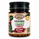 Cavalinha + Chá Verde + Carqueja + Hibisco 700 mg – 60 Cápsulas