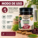 Cavalinha + Chá Verde + Carqueja + Hibisco 700 mg – 60 Cápsulas