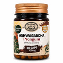 Ashwagandha Premium 700mg – 60 Cápsulas | Canteiro de Ervas
