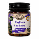 Psyllium + Cavalinha 500 mg – 120 Cápsulas | Canteiro de Ervas