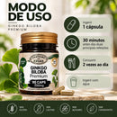 Ginkgo Biloba Premium 700 mg – Canteiro de Ervas | 90 Cápsulas