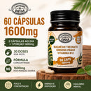 Magnésio Treonato + Ginseng Panax + Vitamina B12 – 60 Cápsulas