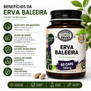 Erva Baleeira – Canteiro de Ervas, 700 mg por cáps 60 cáps
