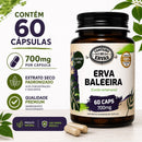 Erva Baleeira – Canteiro de Ervas, 700 mg por cáps 60 cáps