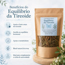 Equilíbrio da Tireoide
