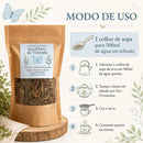 Equilíbrio da Tireoide