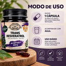 Trans-Resveratrol 98% Puro 600mg – 60 Softgels | Canteiro de Ervas