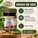 Café Verde Premium 500mg – 90 Cápsulas | Canteiro de Ervas